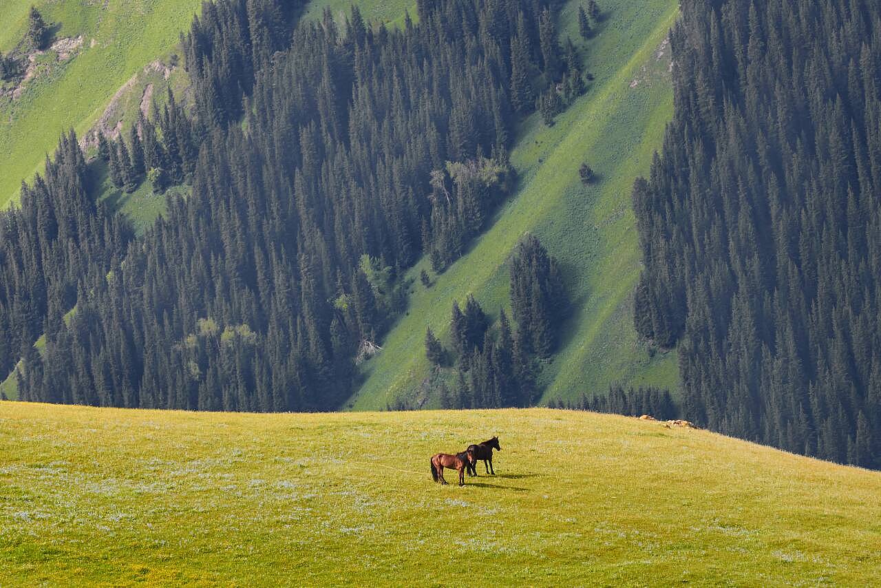丝路明珠,新疆多元文化交融的璀璨之地